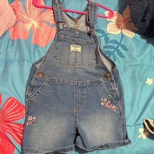 Target Kids Blue Denim Overalls with Floral Embroidery